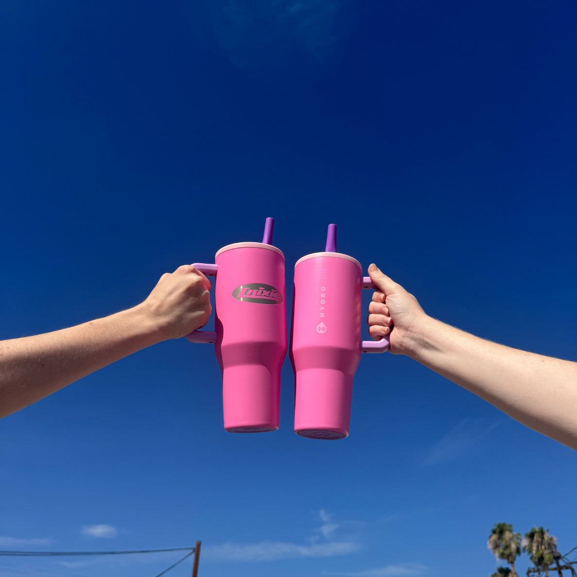 Trixie Hydrojug